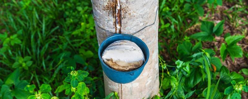 Is Natural Rubber Better Than Synthetic Rubber? Here's What We Know