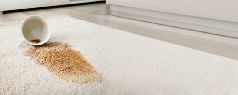 3 Convincing Reasons You’ll Want a Waterproof Rug Pad